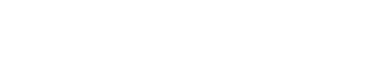 logo vilaveroni